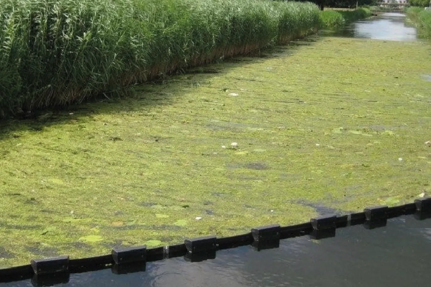 Marine Booms for Environmental Protection