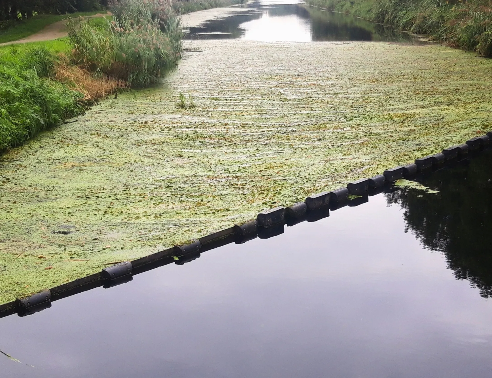 Floating debris boom barrier controlling vegetation and floating debris in a canal