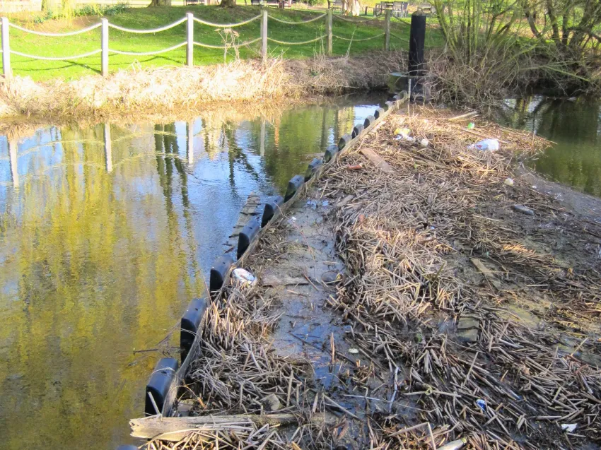 Debris boom collecting floating debris, reeds, and trash in a waterway