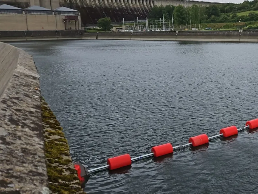 Log screen boom near dam wall