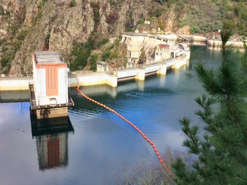 Log screen boom protecting dam intake