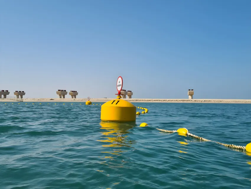Mooring buoy system with floating line