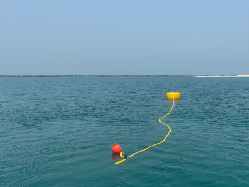 Mooring buoy system with floating line