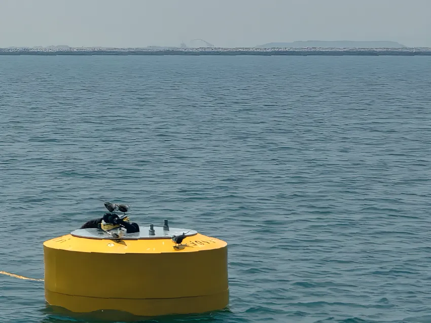 Boat mooring buoy floating offshore
