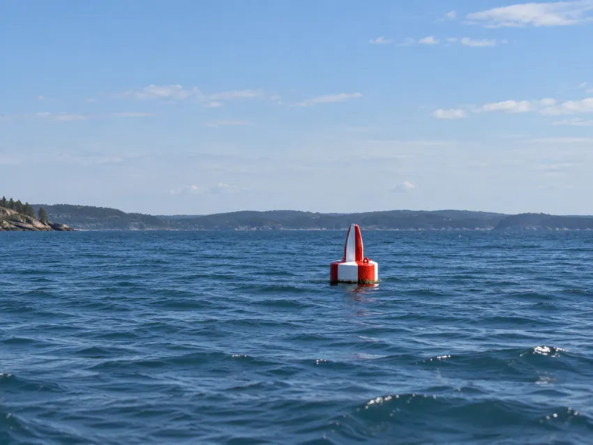 Safe Water Mark